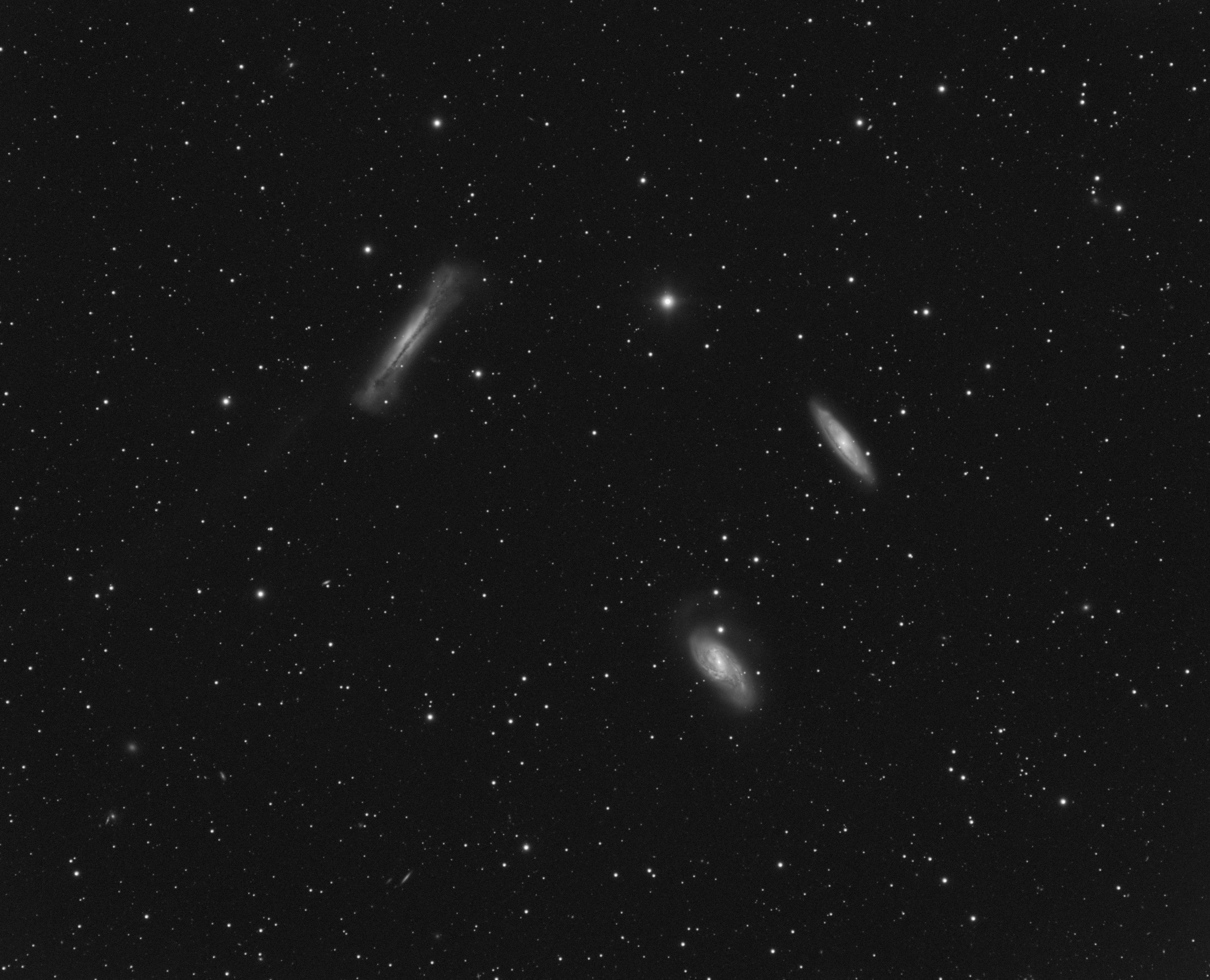 NGC 3628 / M65 / M66 